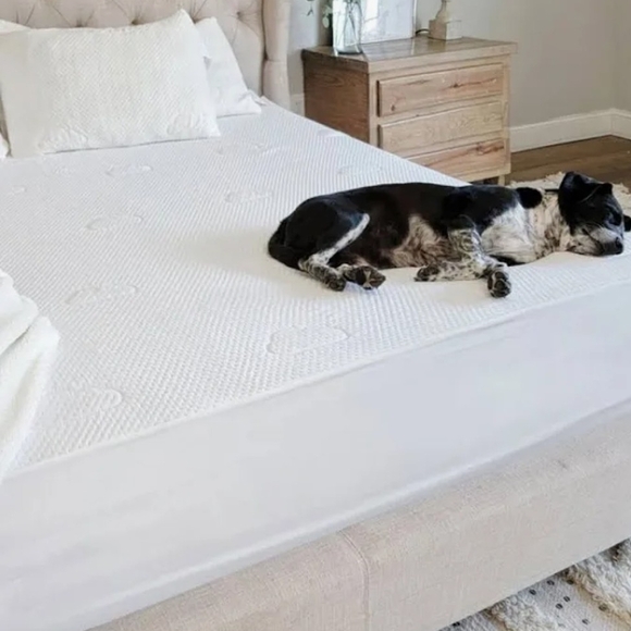 SOLD - Picture 3 of 3